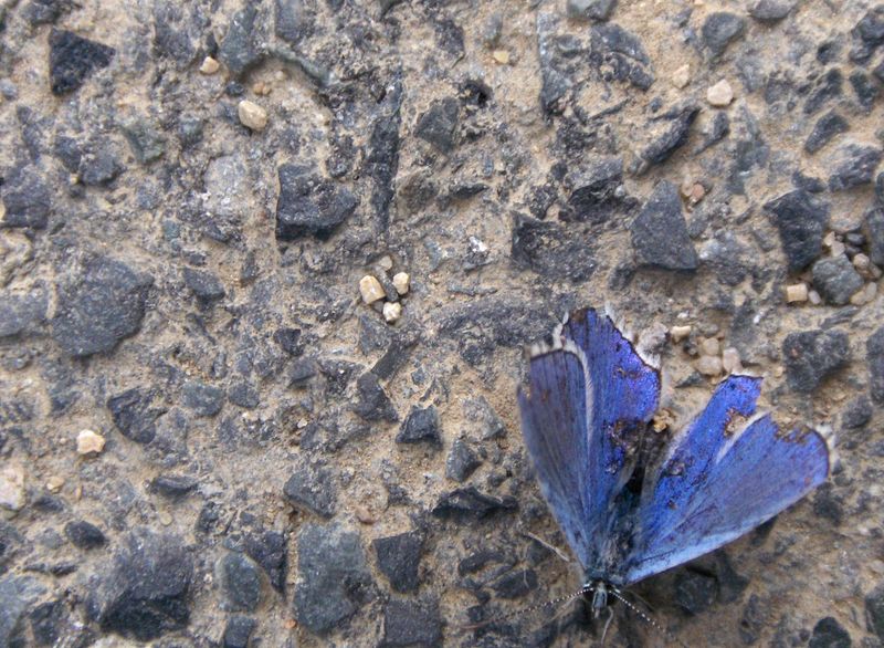 fotosformacio-017-800×600.jpg