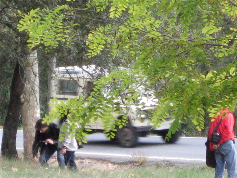 img_0012_modified.jpg