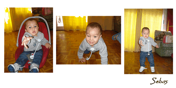 sebas1