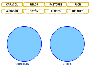 singular-y-plural