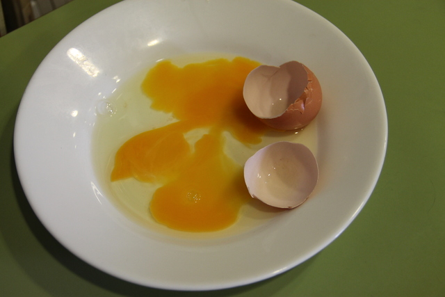 1rdia (17).redimensionada