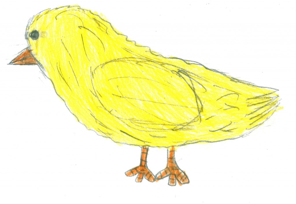 20140505163336101_0001