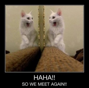 a.baa-Haha-So-we-meet-again
