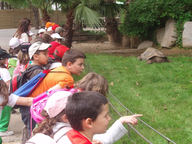 zoo