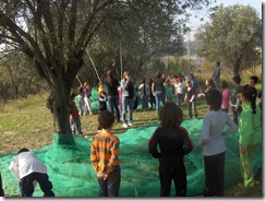 Sortida Can Comelles 014