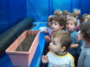 Ho posem a l'hivernàcle. Què passarà?