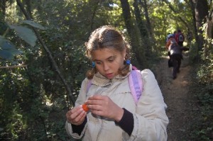 ruta-de-les-fonts-97