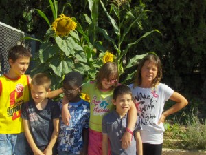 macedonia-052