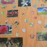 DSCN4025