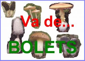 va de bolets