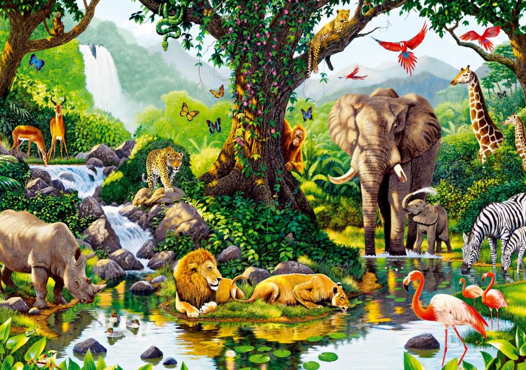 elefante-animales-selva