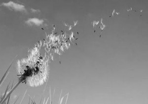 86eb7ad684e8d2ca5a4f8034384b985c