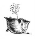 gorro1.jpg