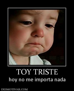 13056_toy_triste