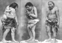 neandertal_misconception.gif