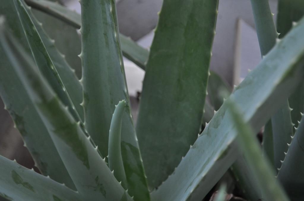 ????????????????????????????????????