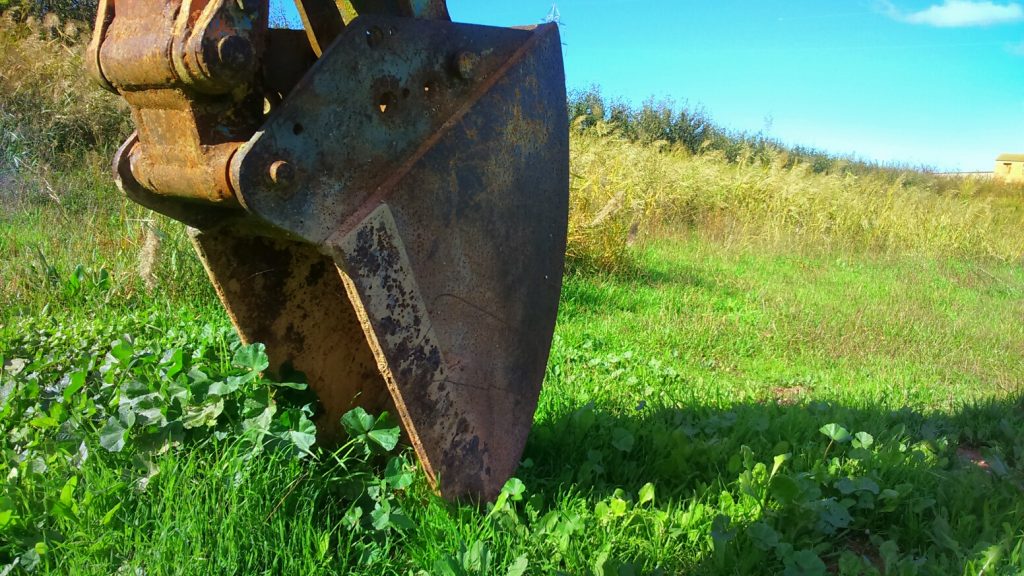 la-construccio-de-la-natura