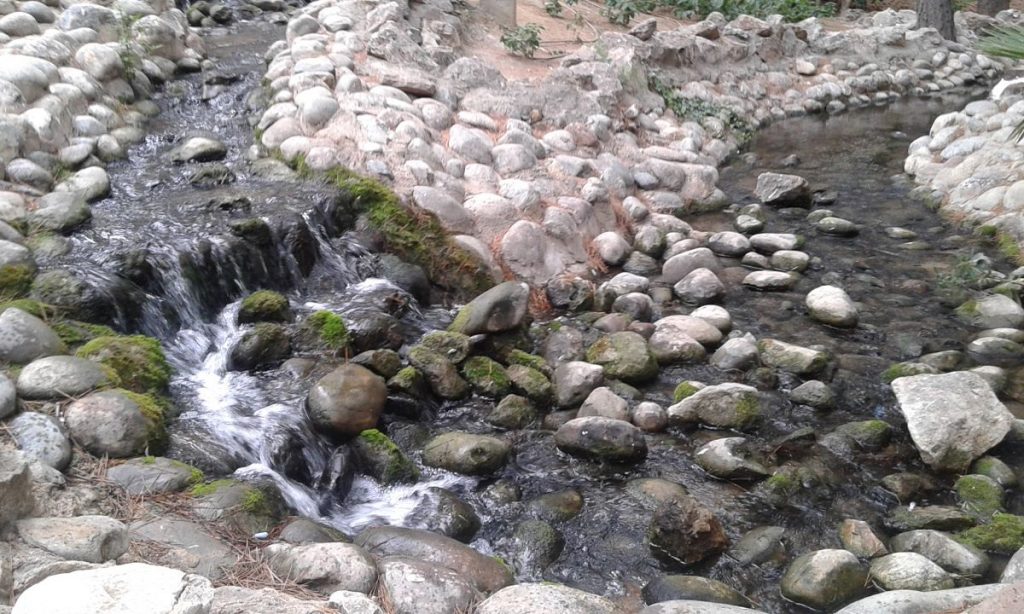 rierol-del-parc-natural-de-salou_opt