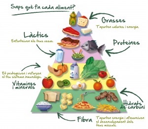 Piràmide d'aliments