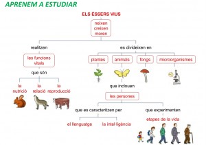 esquema Éssers vius