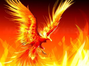 ave-fenix-463906