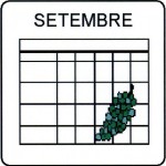 SETEMBRE