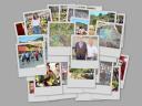 collage1.jpg