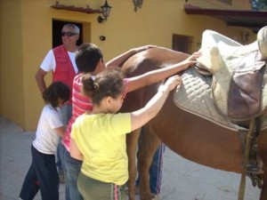 Alumnes tocant el cavall