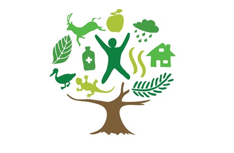 logo_aib