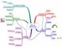 mindmapping.jpg
