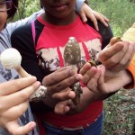 cambiar-tamanodsc00225