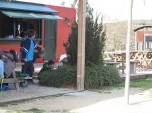 IMG_3350
