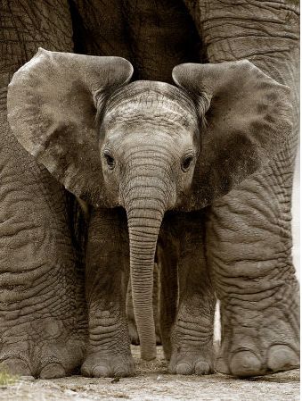 96020108a8536c986ba0f531644ff28b