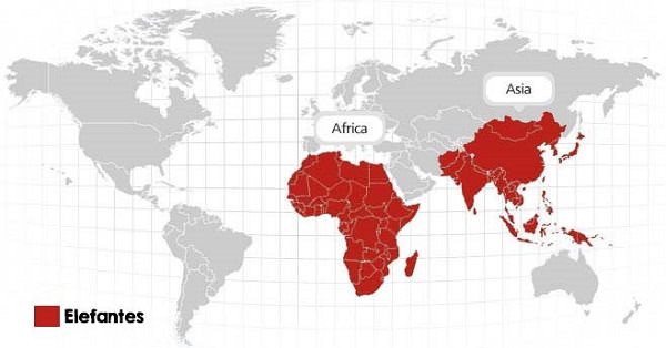 mapa-elefantes