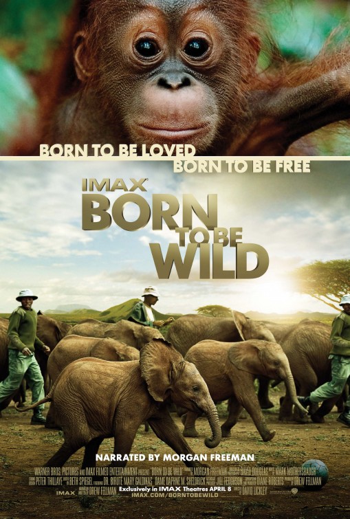 Born_to_be_wild
