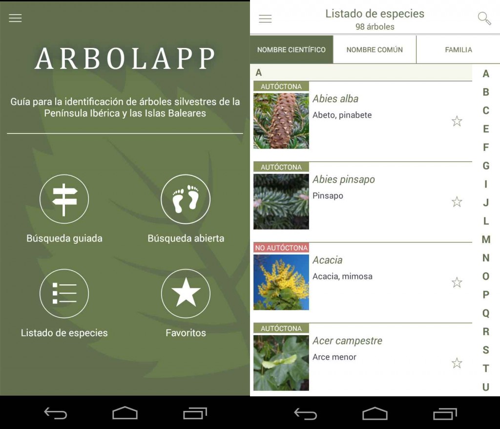 arbolapp2