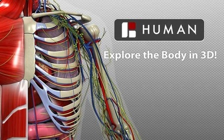 biohuman