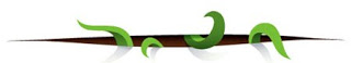 0 Separador verde