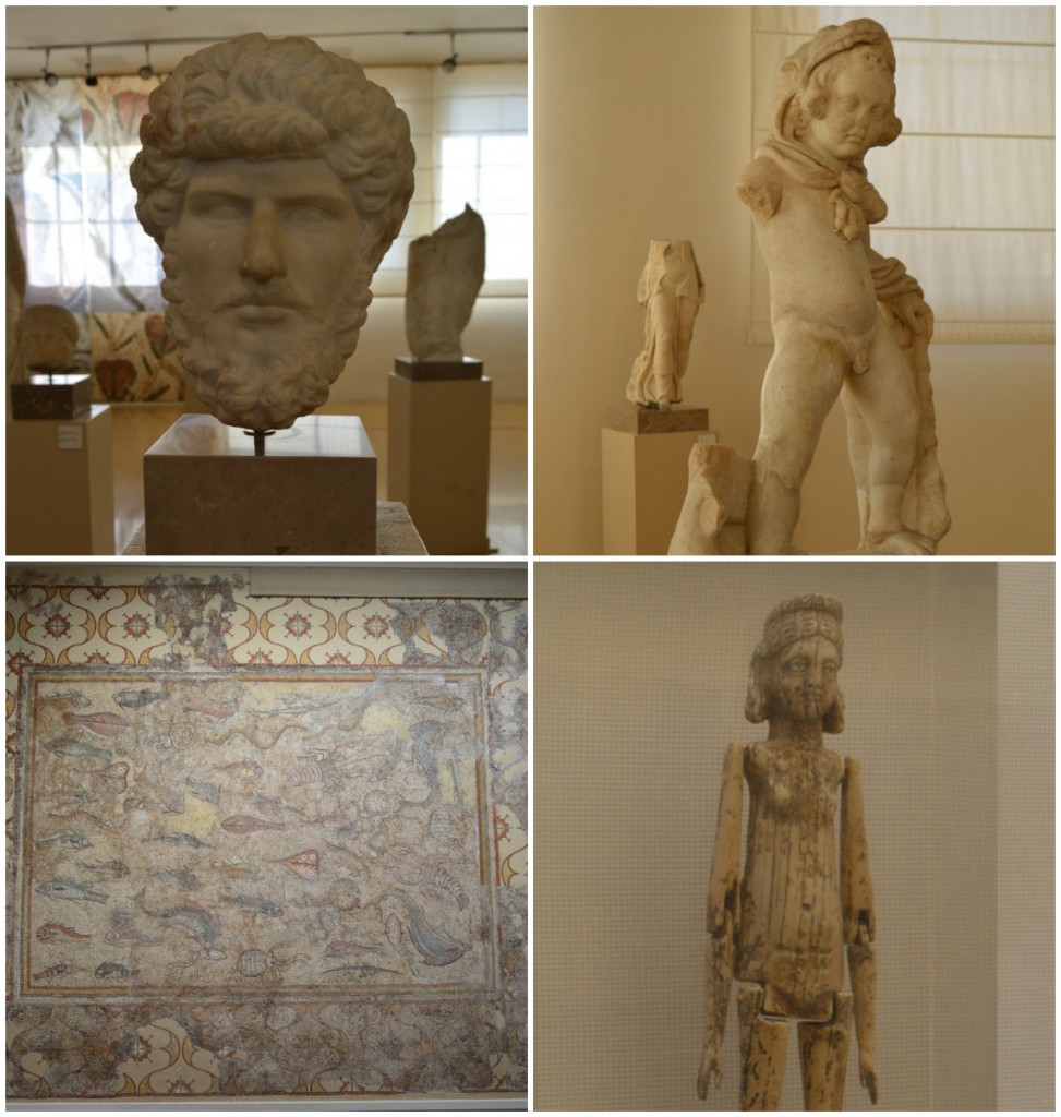 collage museu