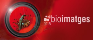 bioimatges2015_banner