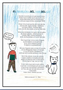 El problema del nom del gat
