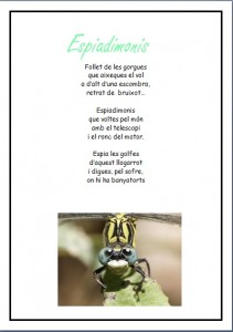 Espiadimonis