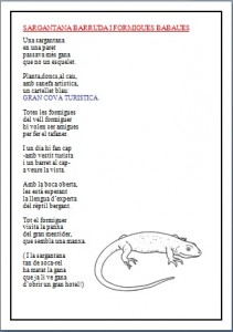Sargantana barruda