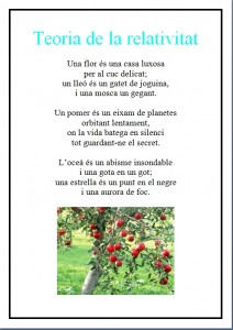 Teoria de la relativitat