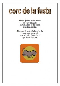 corc de la fusta