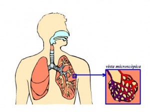 respiracia