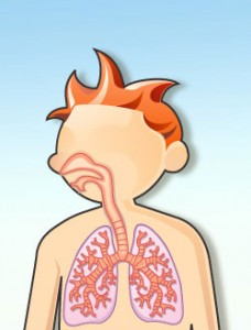 pulmones_1_2
