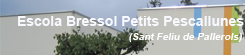  Escola Bressol Petits Pescallunes 