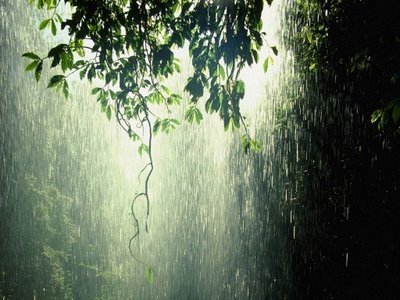 pluja3
