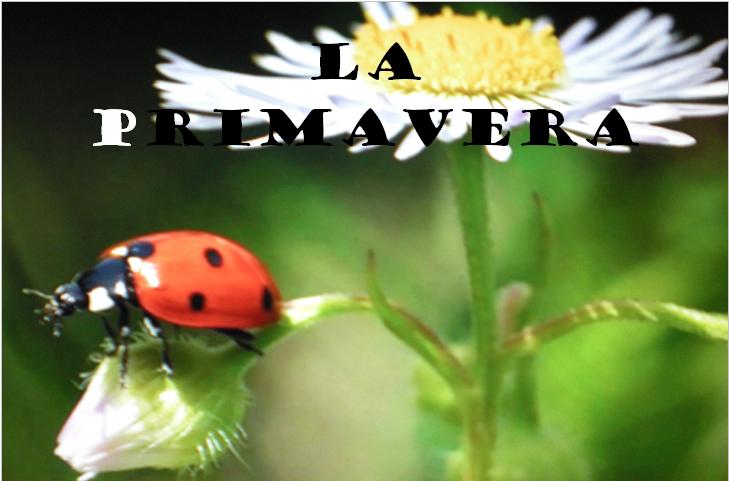 posterpaulad